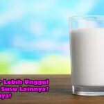 Susu Segar Lebih Unggul dibanding Susu Lainnya Cek Faktanya
