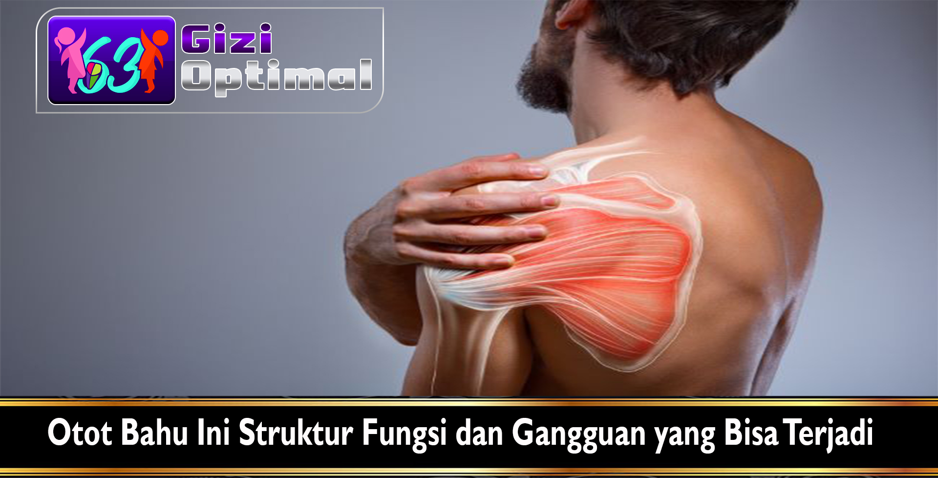 Otot Bahu Ini Struktur Fungsi dan Gangguan yang Bisa Terjadi