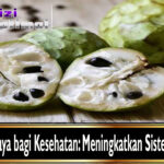 Manfaat Srikaya bagi Kesehatan: Meningkatkan Sistem Kekebalan