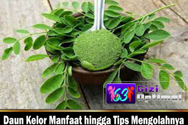 Daun Kelor Manfaat hingga Tips Mengolahnya