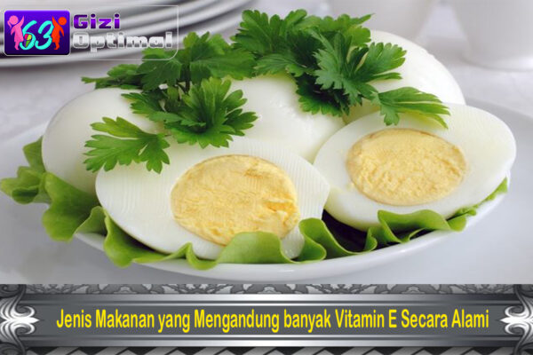 Jenis Makanan yang Mengandung banyak Vitamin E Secara Alami