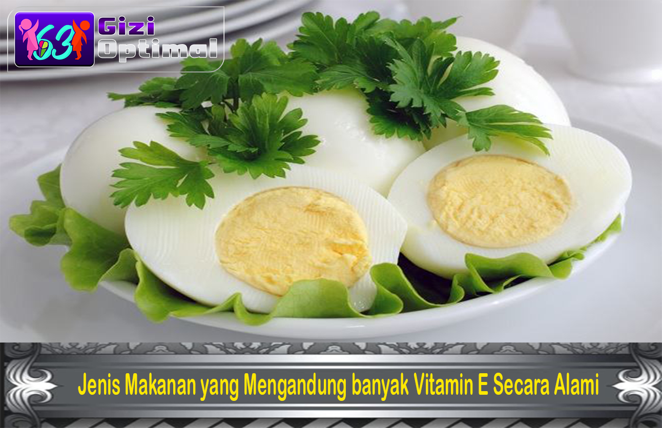 Jenis Makanan yang Mengandung banyak Vitamin E Secara Alami