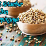 Manfaat Ketumbar untuk Kesehatan dan Efek Sampingnya